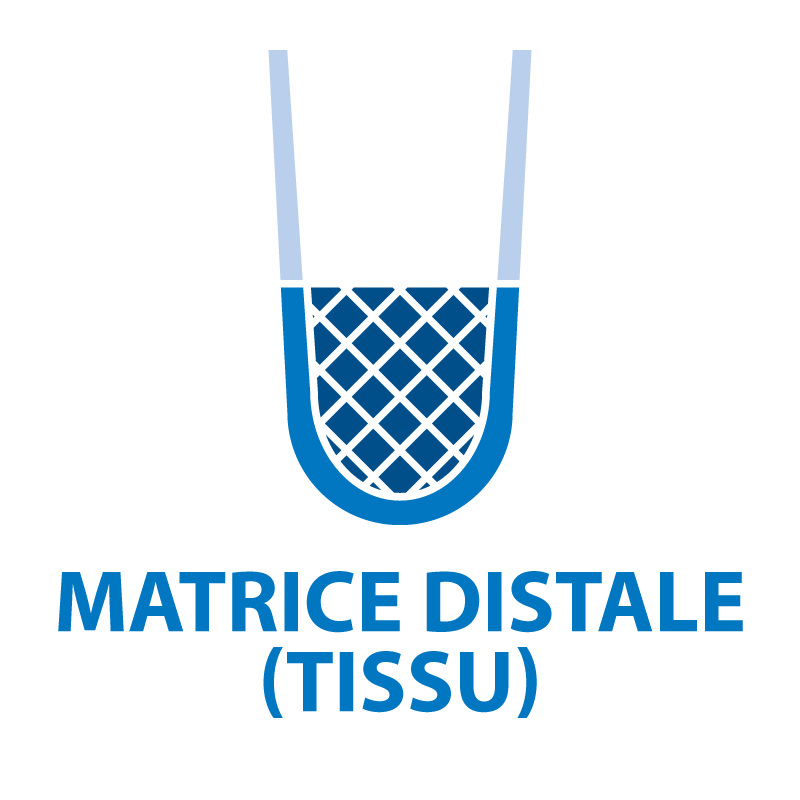 Distal Fabric Matrix