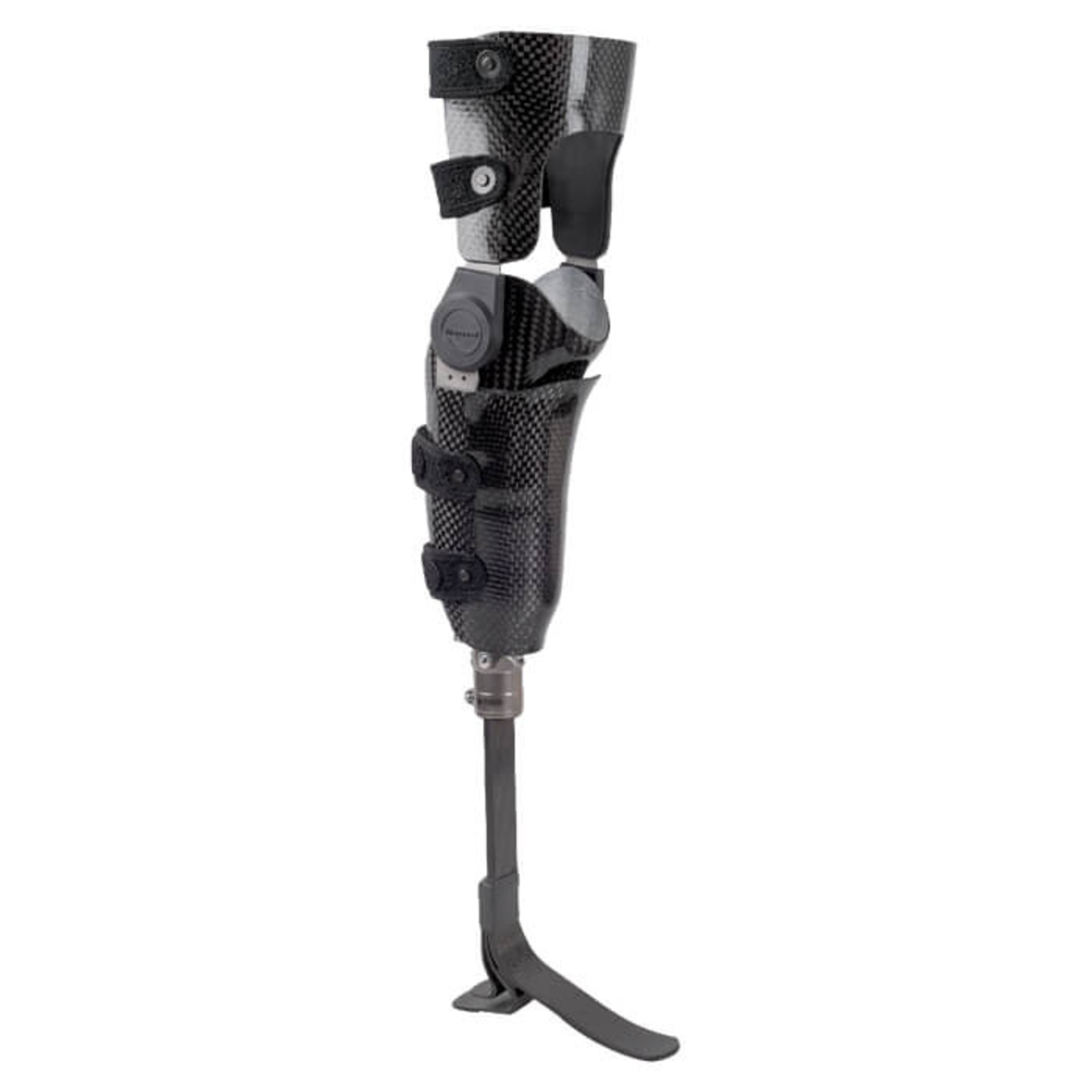 Full Shell BK Custom