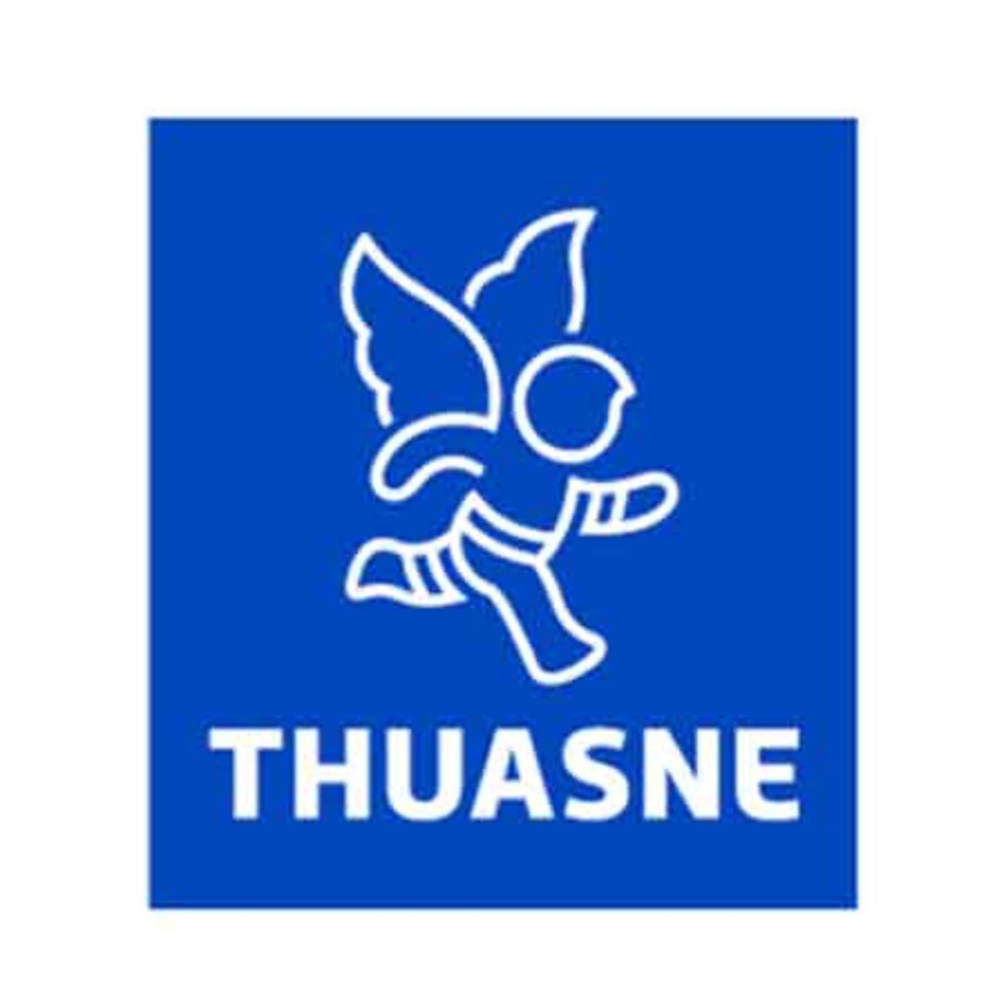 Replacement Condyle Pads